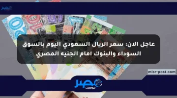 عاجل الآن: سعر الريال السعودي اليوم بالسوق السوداء والبنوك أمام الجنيه المصري